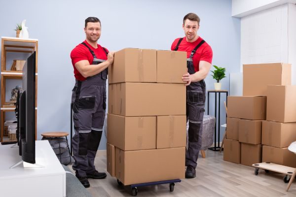 Movers And Packers