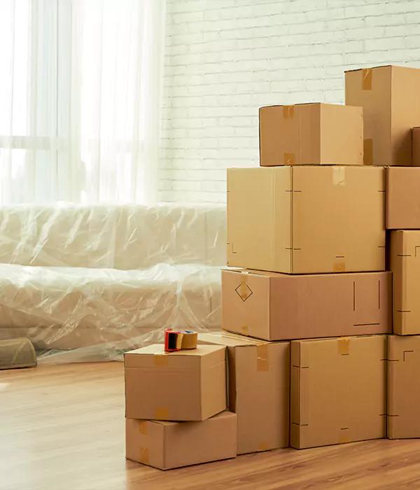 Movers And Packers