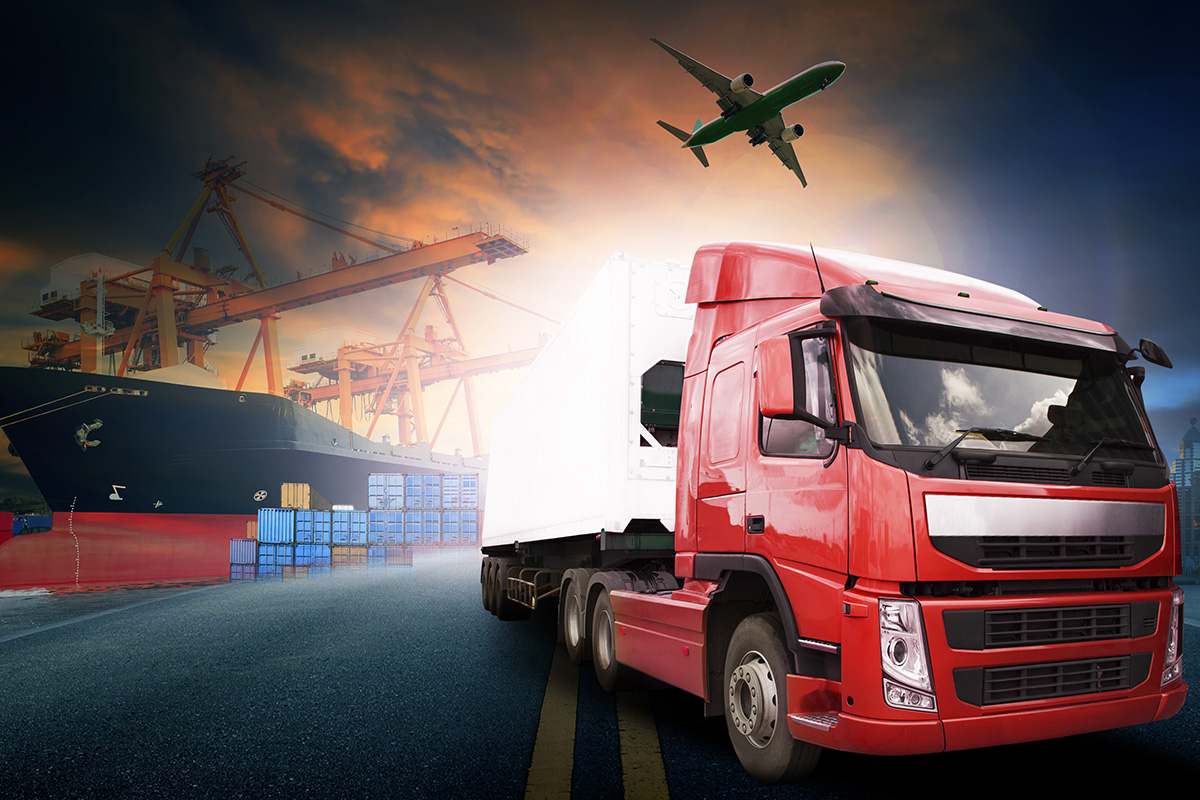 Movers And Packers